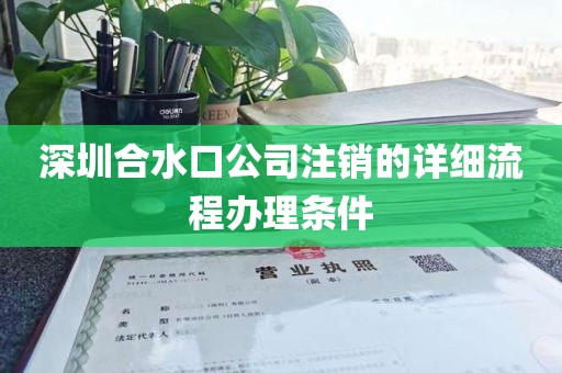 深圳合水口公司注销的详细流程办理条件