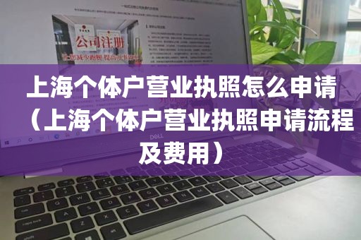 上海个体户营业执照怎么申请（上海个体户营业执照申请流程及费用）