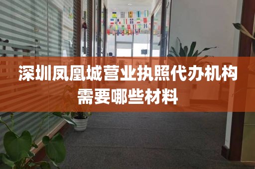深圳凤凰城营业执照代办机构需要哪些材料
