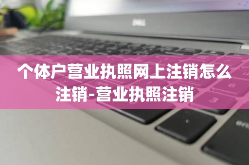个体户营业执照网上注销怎么注销-营业执照注销