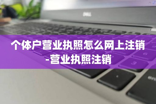 个体户营业执照怎么网上注销-营业执照注销