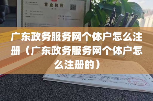广东政务服务网个体户怎么注册（广东政务服务网个体户怎么注册的）