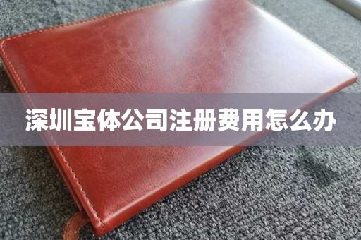 深圳宝体公司注册费用怎么办