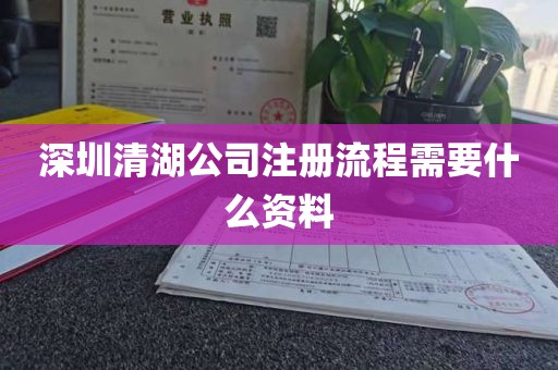 深圳清湖公司注册流程需要什么资料
