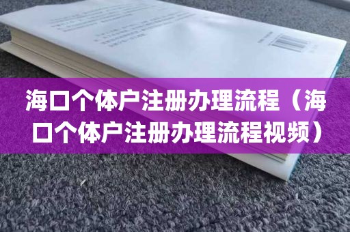 海口个体户注册办理流程（海口个体户注册办理流程视频）