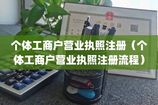 个体工商户营业执照注册（个体工商户营业执照注册流程）