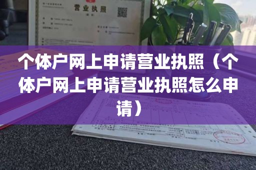 个体户网上申请营业执照（个体户网上申请营业执照怎么申请）