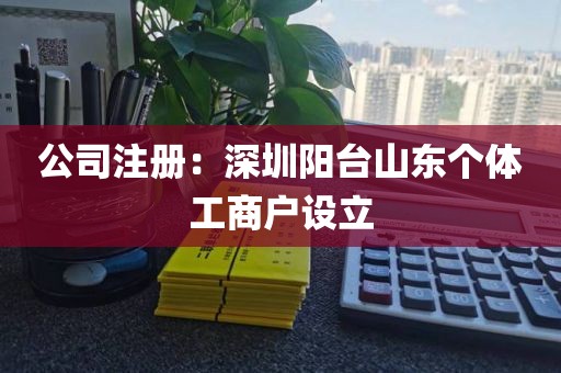 公司注册：深圳阳台山东个体工商户设立