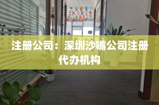 注册公司：深圳沙嘴公司注册代办机构