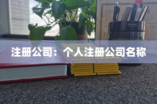 个人可以注册哪些公司名称