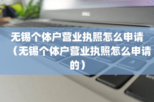 无锡个体户营业执照怎么申请（无锡个体户营业执照怎么申请的）