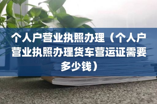 个人户营业执照办理（个人户营业执照办理货车营运证需要多少钱）