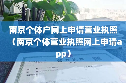 南京个体户网上申请营业执照（南京个体营业执照网上申请app）